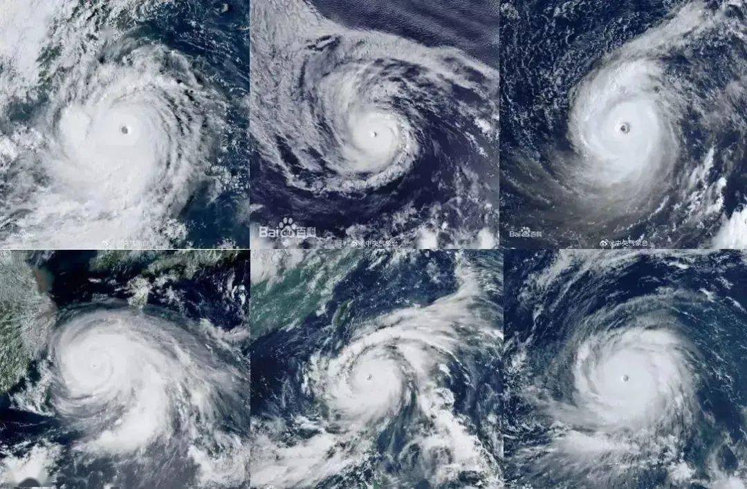 "海葵"已减弱为热带低压,接下来重点防御→_台风_汕头市_天气