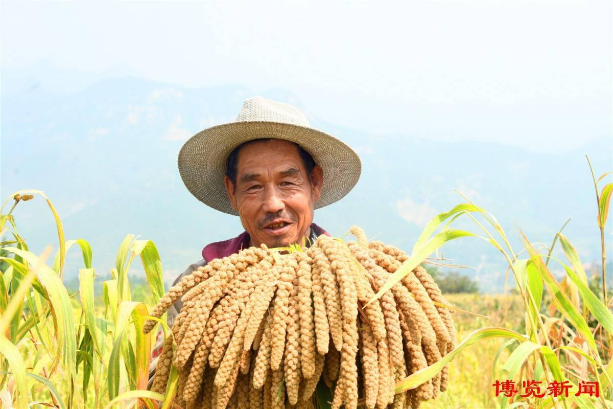 鲁山笑市丙辉图片