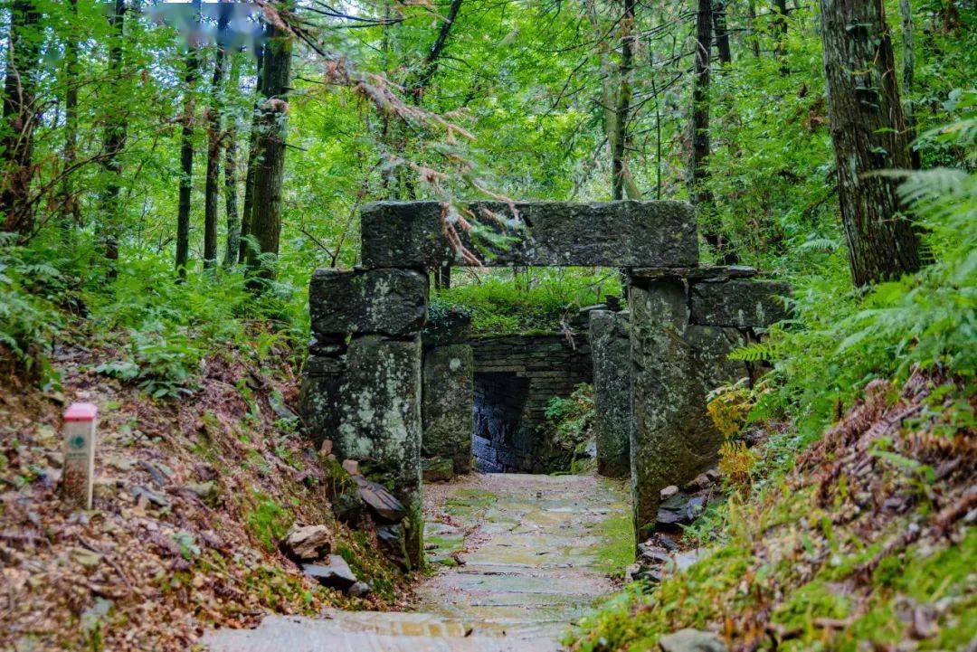 day仙寓山景区,9月10日教师节当天,凭教师证和身份证免景区门票(不含