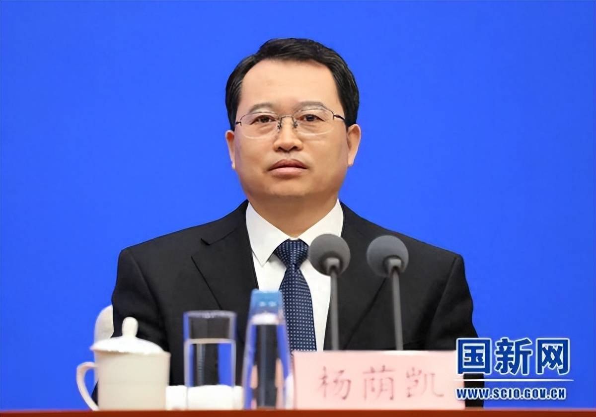 杨荫凯,履新职_国家_改革_调研