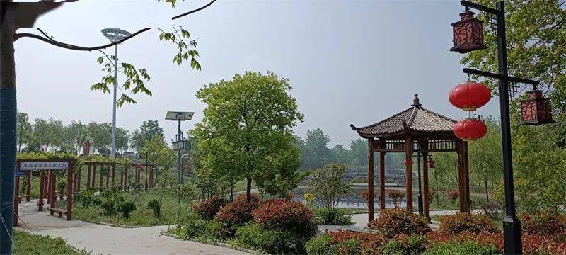 【文明村镇创建巡礼】泗县草沟镇草沟村:绘就幸福画卷 共建文明草沟