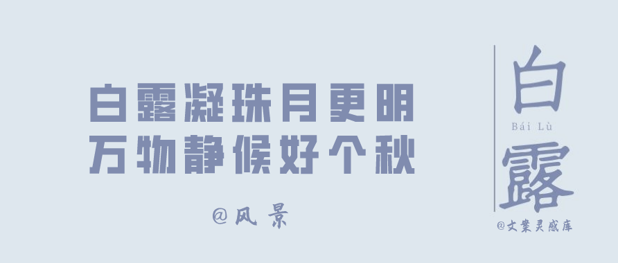 白露节气 各大品牌文案