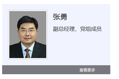 张勇履新央企副总经理,此前任中财办秘书局局长_海运集团_中国远洋_载重