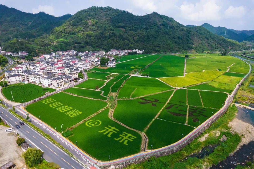 摄影抵达 范小君/摄紫气呈瑞迎亚运 项珍玉杨和银亚运情深奏欢歌 张