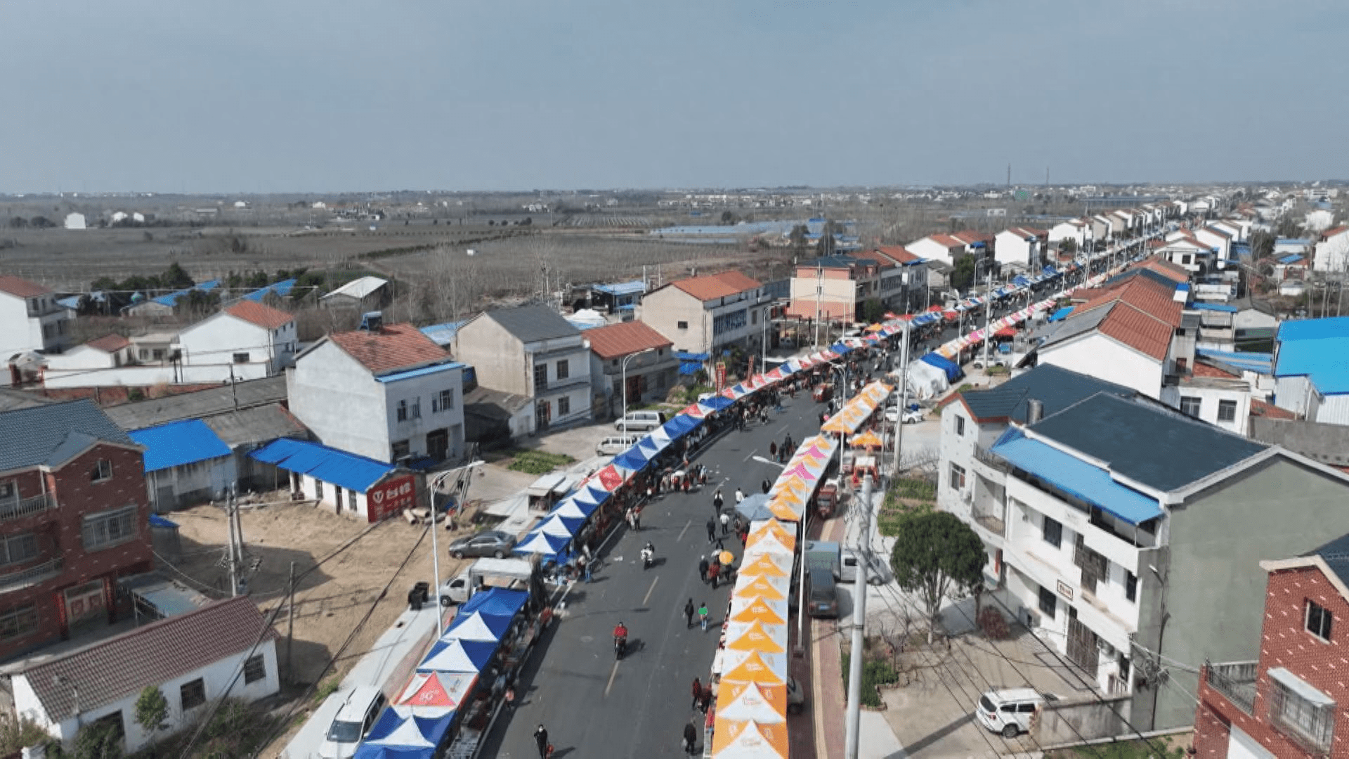 新洲区李集街:踔厉奋发 绘就宜居宜业宜游宜养美丽画卷_建设_发展