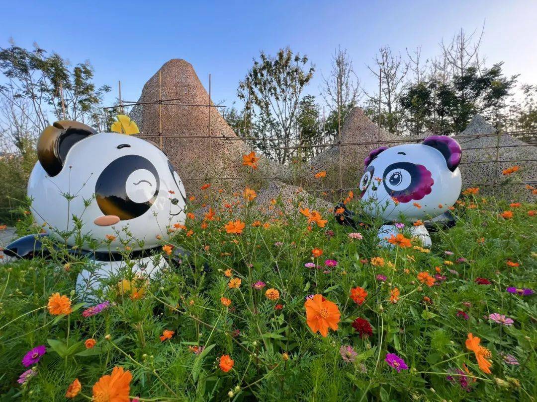 "雪山""大熊猫"……亮相合肥园博园!_成都_竹编_城市