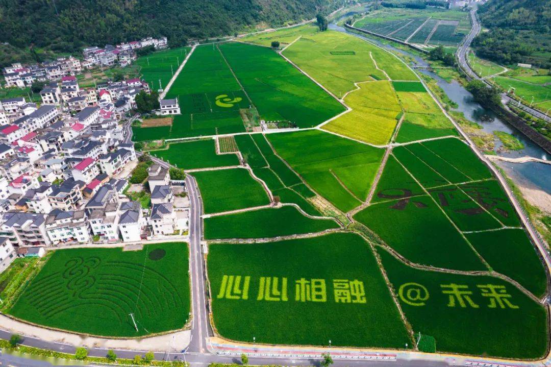 摄影抵达 范小君/摄紫气呈瑞迎亚运 项珍玉杨和银亚运情深奏欢歌 张