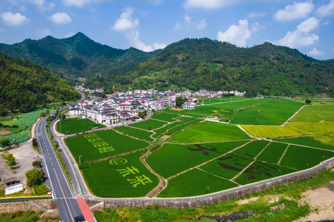 摄影抵达 范小君/摄紫气呈瑞迎亚运 项珍玉杨和银亚运情深奏欢歌 张