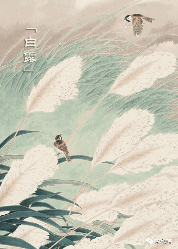 今日白露节气早安问候语温暖句子 白露朋友圈文案唯美说说