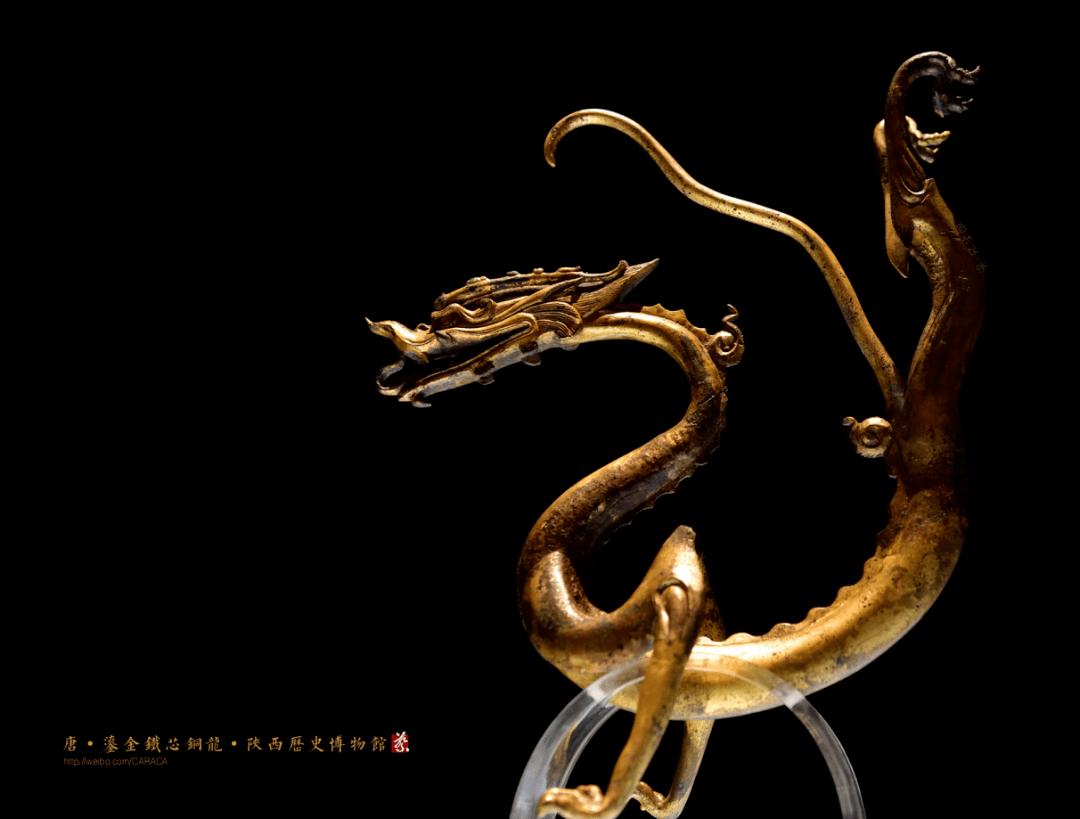 终于集齐历代龙纹,藏家必看!