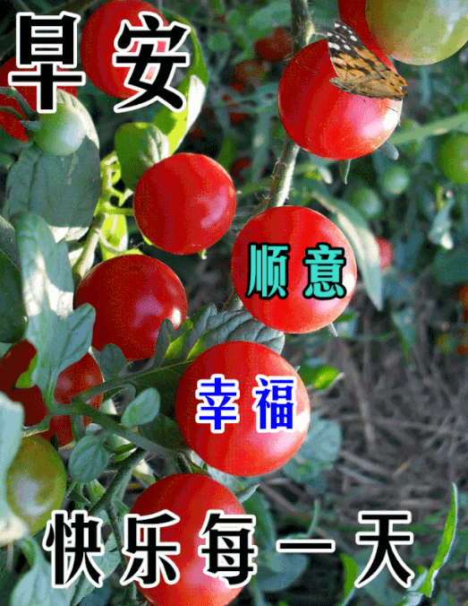 今日最新早上好图片,早安动图美图大全_祝福_阳光_朋友