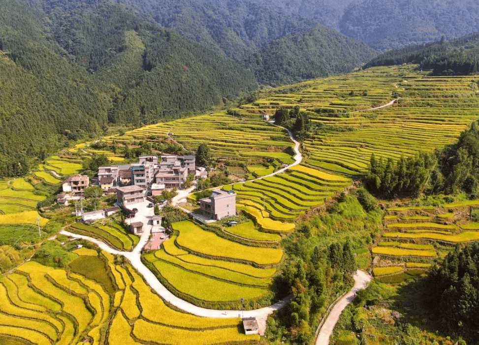 368起~【双节同庆】连山黑山梯田 阳山板栗节纯玩两天_景区_特色_广东