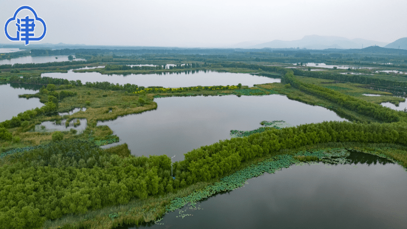 引滦入津40年,记者探访于桥水库前置库_工程_水体_运行