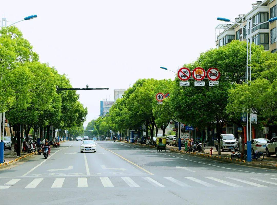 见证蝶变|龙游太平路_西路_东路_城市生活