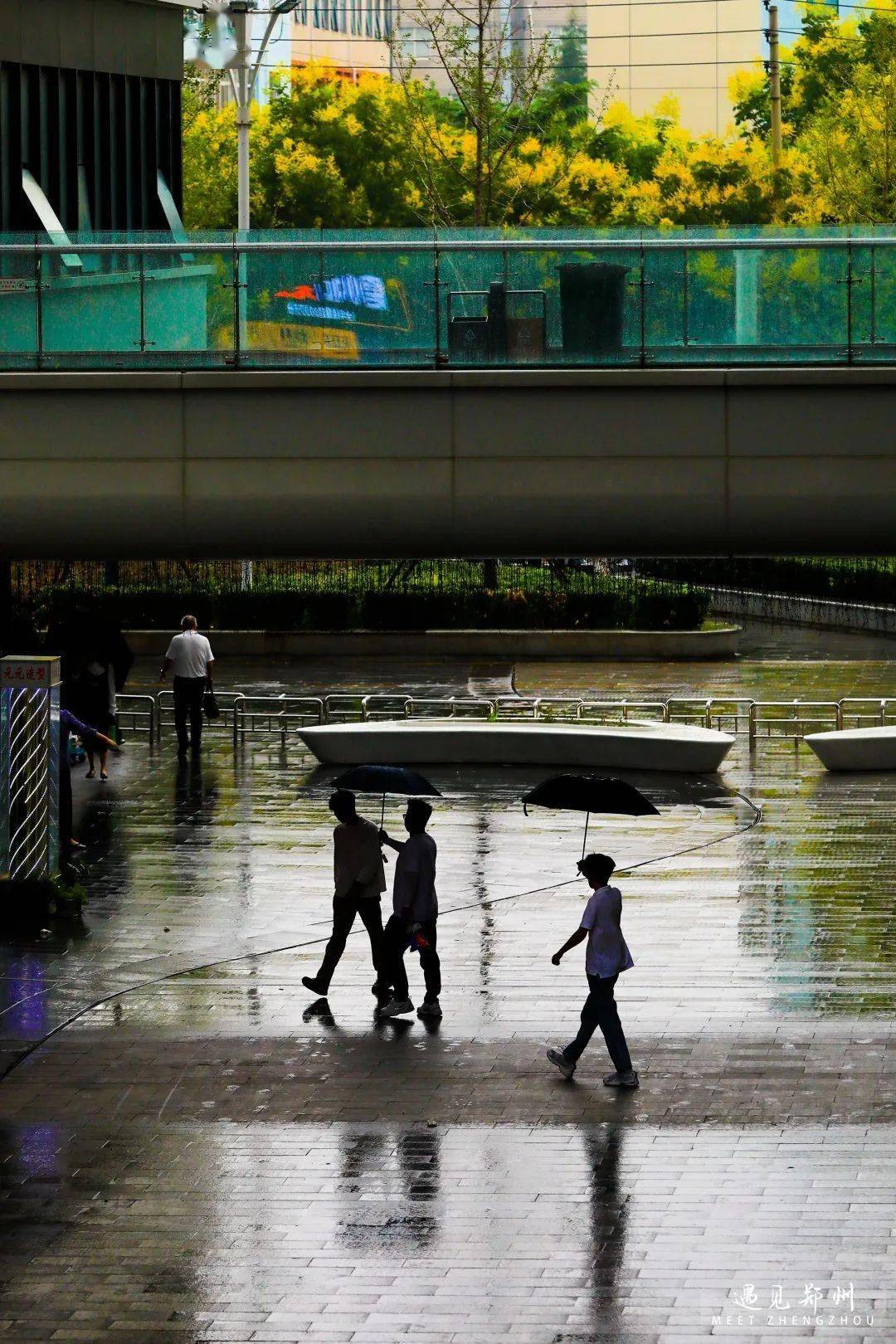 一场秋雨后这里有绝美景色
