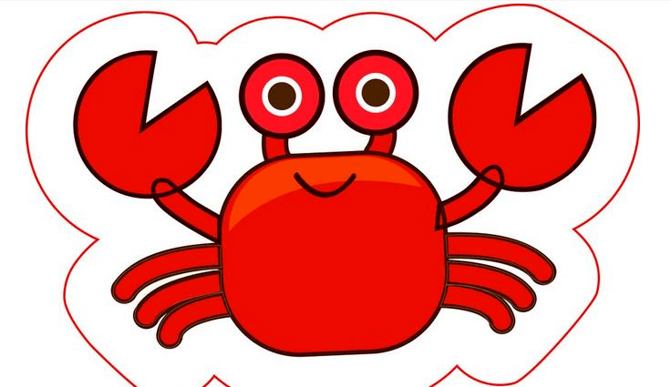 学习掌握抓螃蟹的技巧总之钓螃蟹是一项充满乐趣和挑战