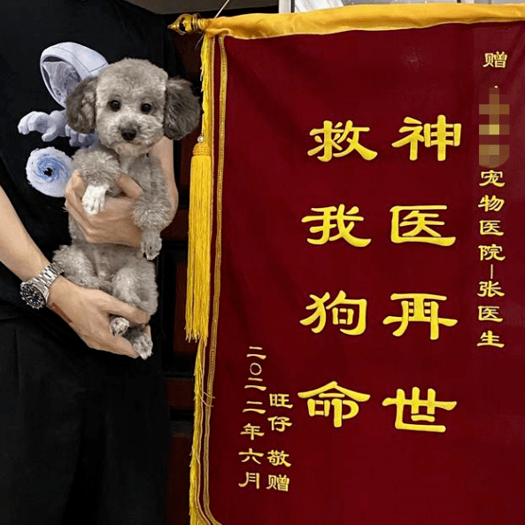 "年轻人送锦旗,主打搞笑又社死……_医生_旗子_一面