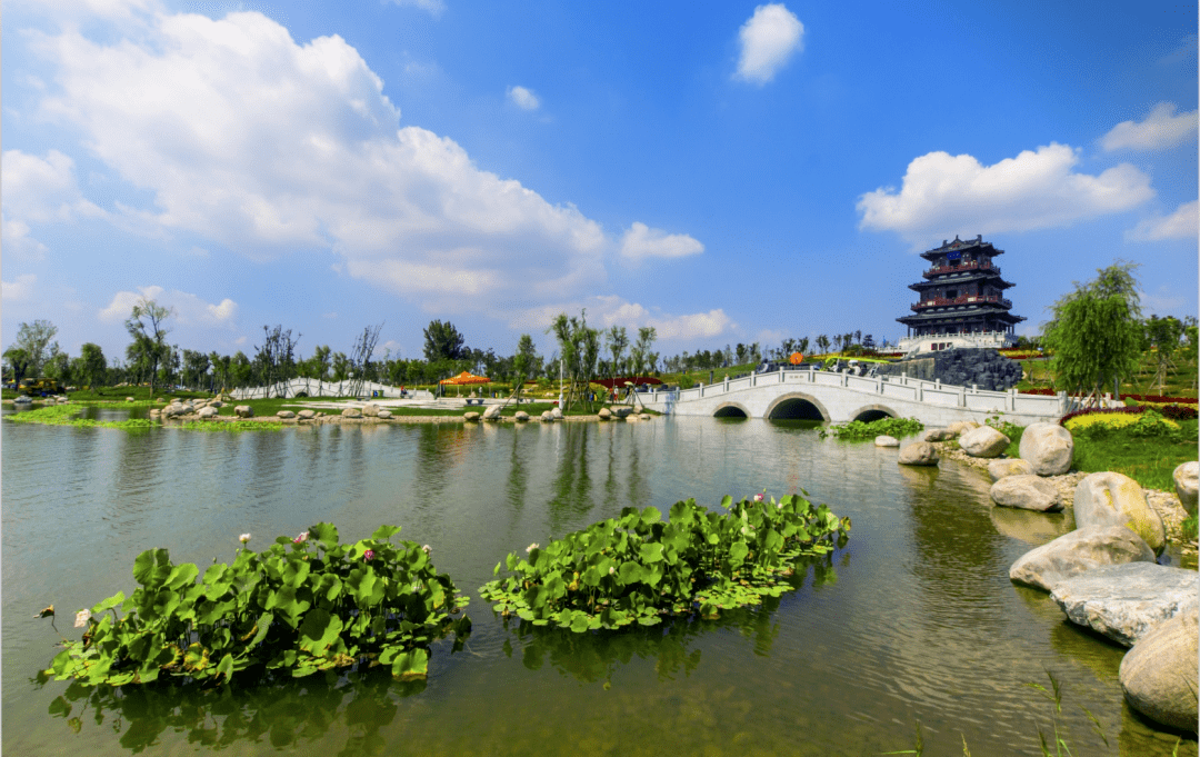 衡水湖的景点图片