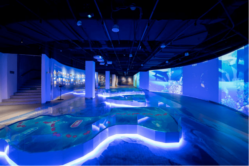 青岛海洋科学馆位于青岛奥帆博物馆负一层,总建筑面积为1200平方米,是