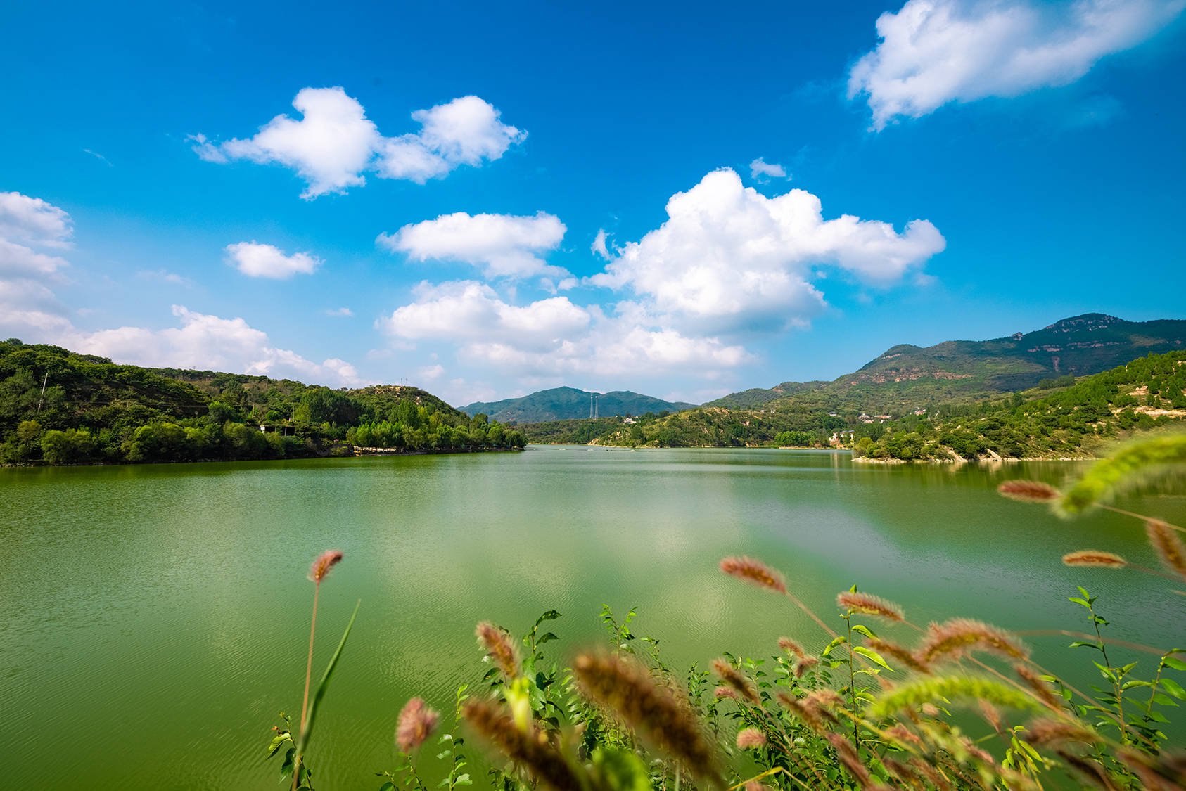 山东第一大水库图片