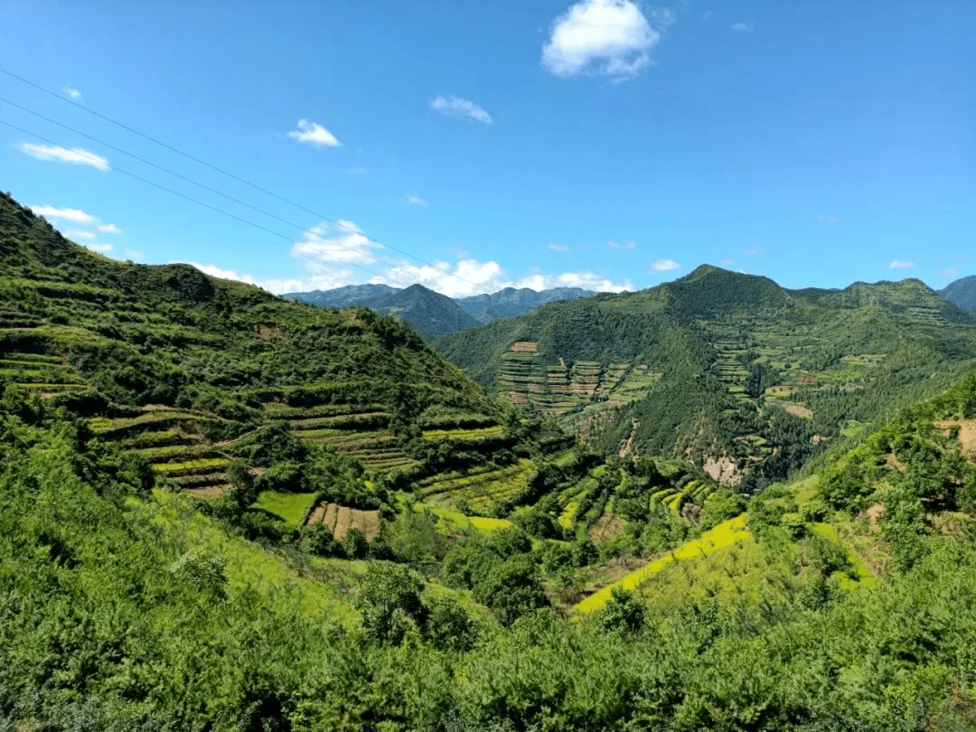 乡游陈仓 | 尊嘟假嘟,陈仓区拓石镇竟有这么多小众宝藏游玩打卡地!