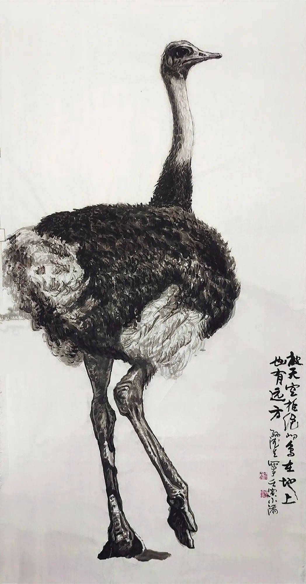 评孙德生先生水墨鸵鸟画