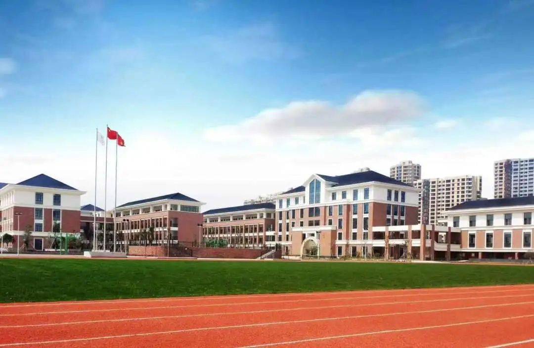 乐清这所学校厉害了~_阳光_游泳_活动性