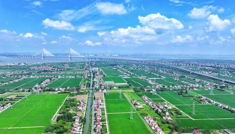 室史钩沉 | 42年前沙洲县的一个创举——在全国率先开展各级干部为