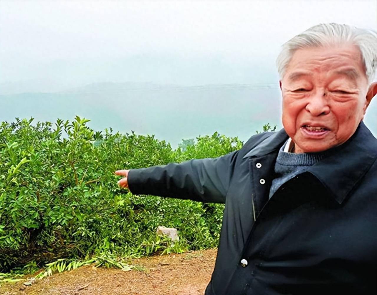 褚时健将橙子取名为"云冠橙",寓意它是"云南之冠",还为这种橙子专门