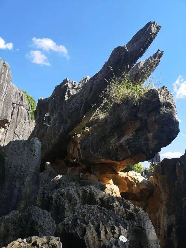 微游石林:鳄鱼石_活动_向前_突出的