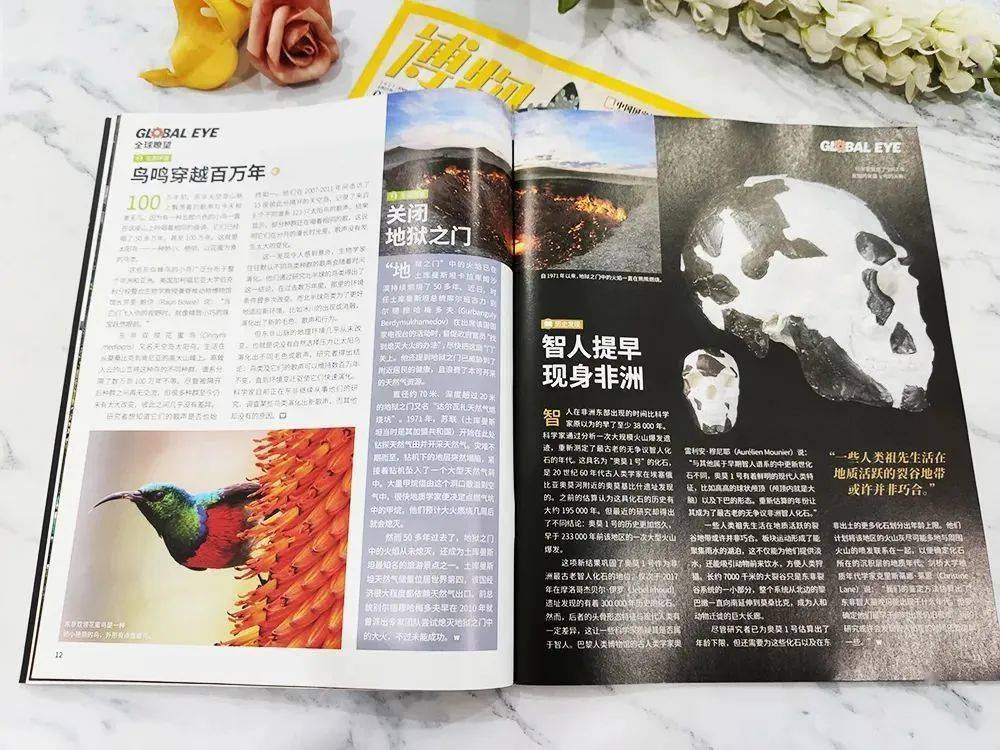 全球顶尖青少年科普杂志《万物》和《博物》组合开团_孩子_自然_科学