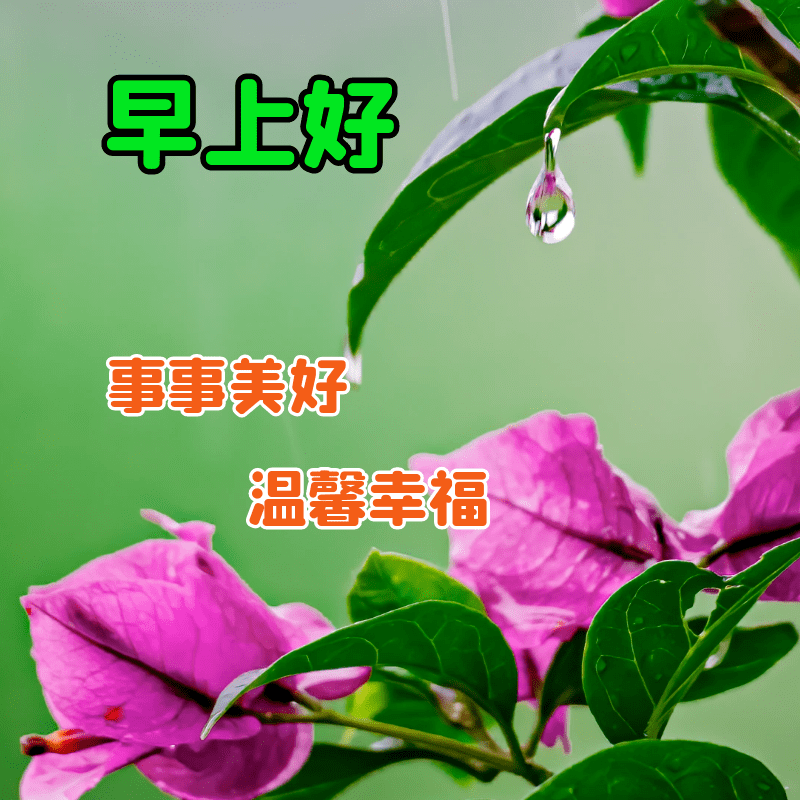 在这个季节里