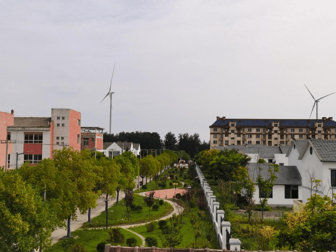 淮安区复兴镇:人大代表共谱空间治理新篇章_乡村_土地_发展