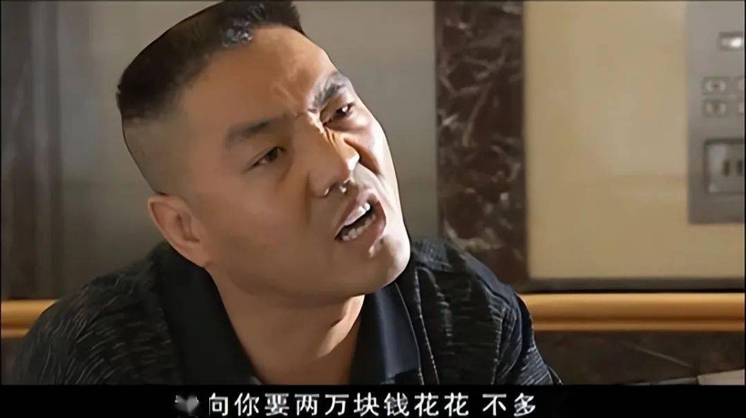 曾是北影出身的何铁红随后接连拍摄了《征服2》和《征服3》,只可惜