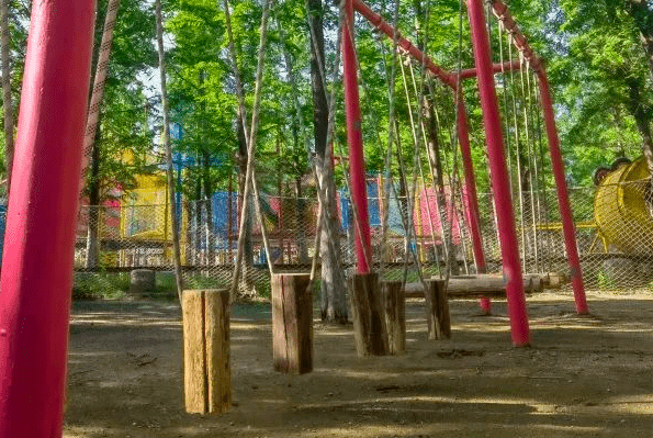 9月22日约起来,邀您赴一场秋日赏菊盛宴~_菊花_麻城_人家