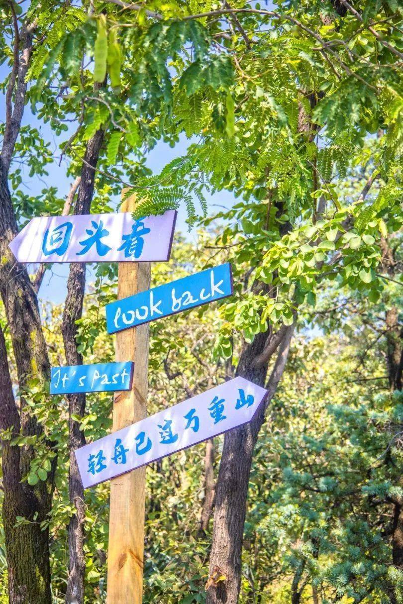 记者:李媛 肖憶 张珊珊摄影记者:周凯元 李可编辑:代琳 陈蓝校对:刘婷