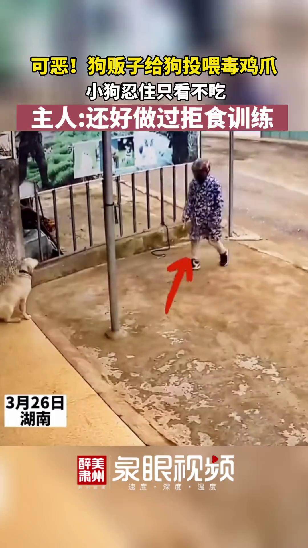 可恶的狗贩子!m醉美肃州 可恶的狗贩子