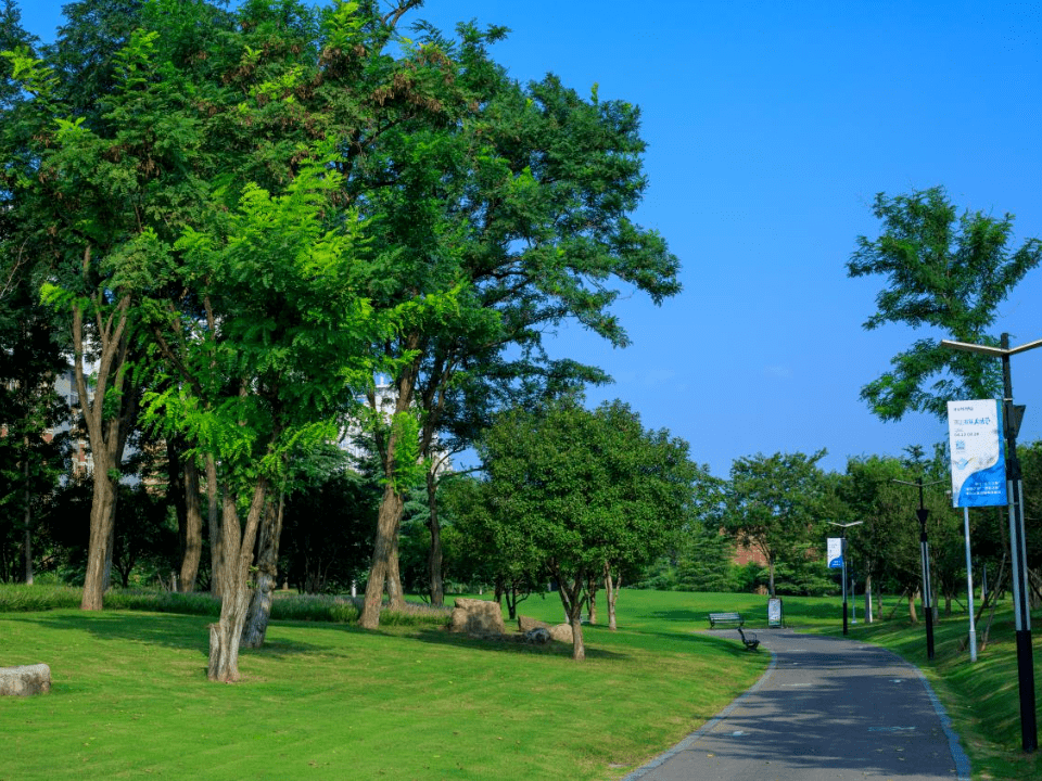 富阳银湖公园大草坪图片