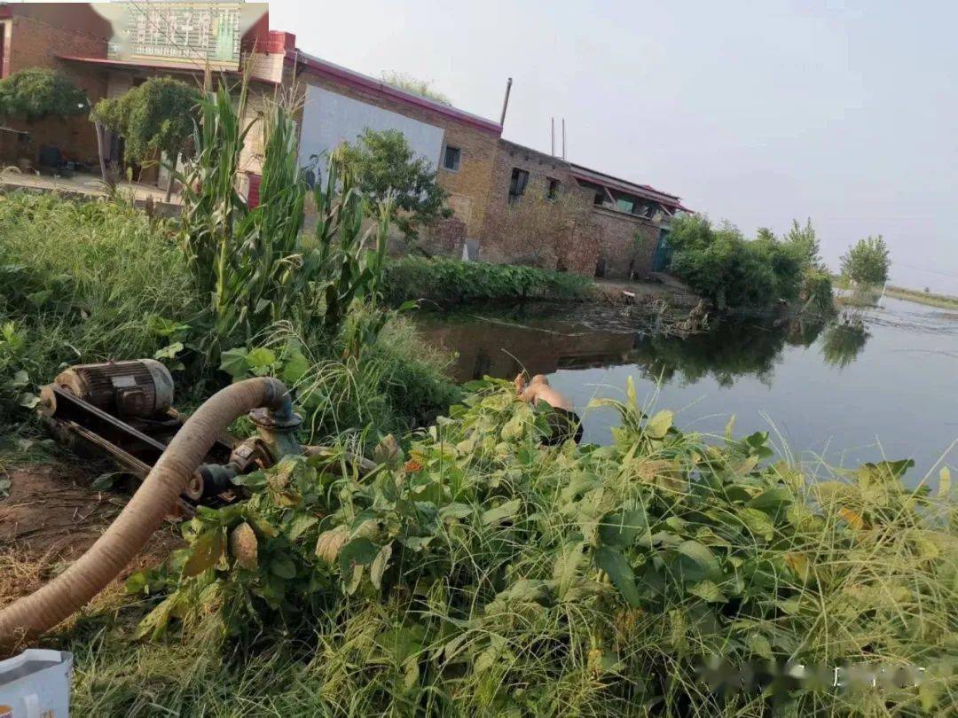 耿庄桥镇:全力排涝确保冬小麦顺利播种_工作_受灾_农田