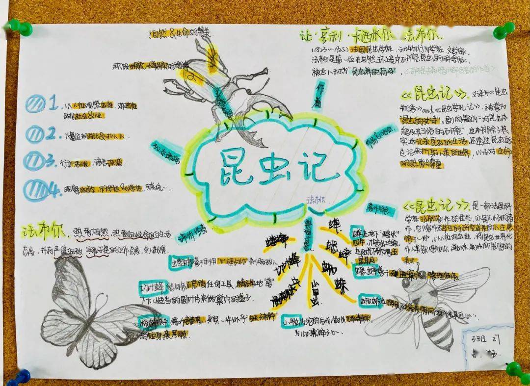 一份份《昆虫记》思维导图拉开了此期作品展的帷幕