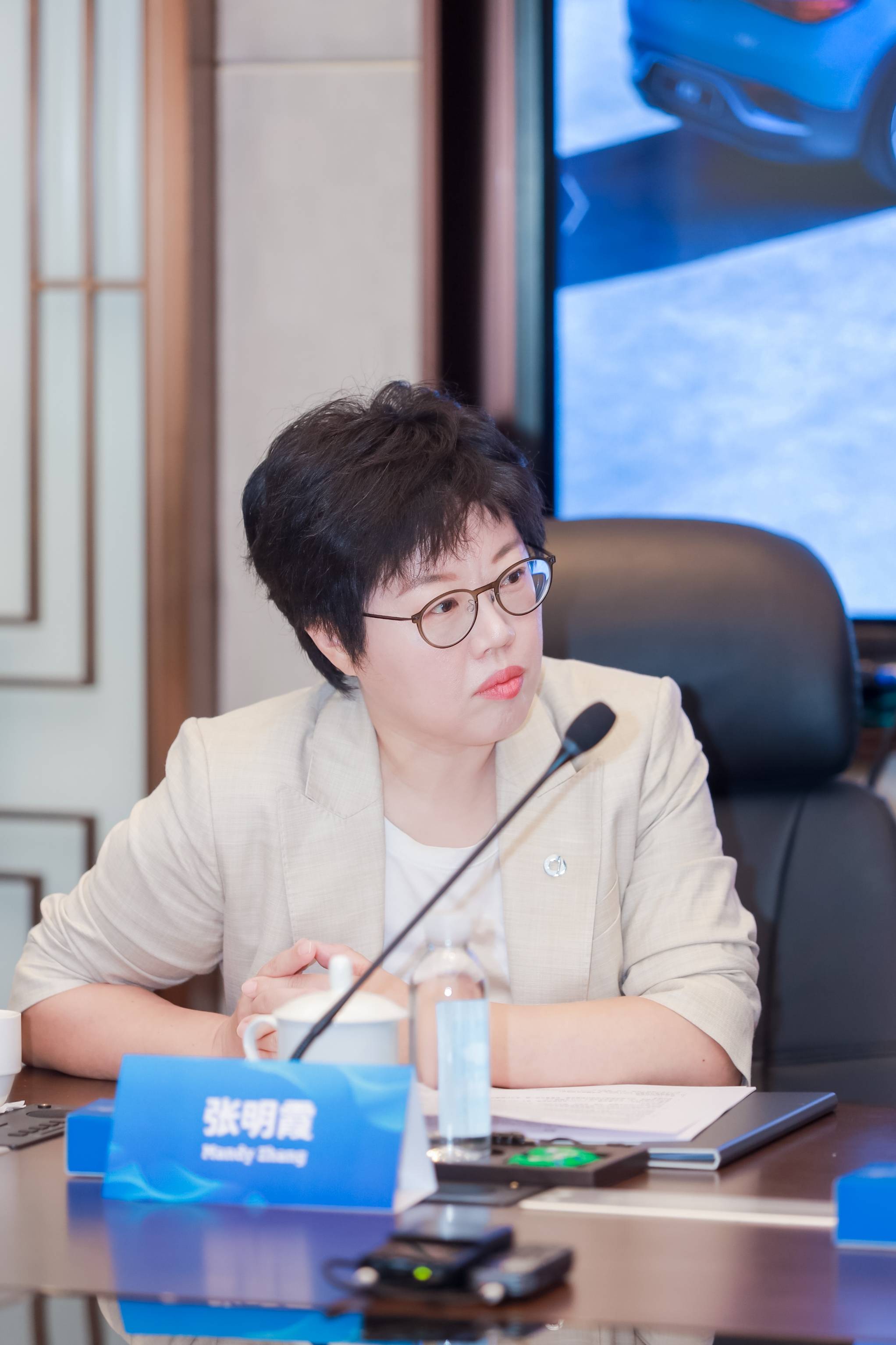 对话smartceo佟湘北借力宝腾深耕东南亚市场不参与国内价格战
