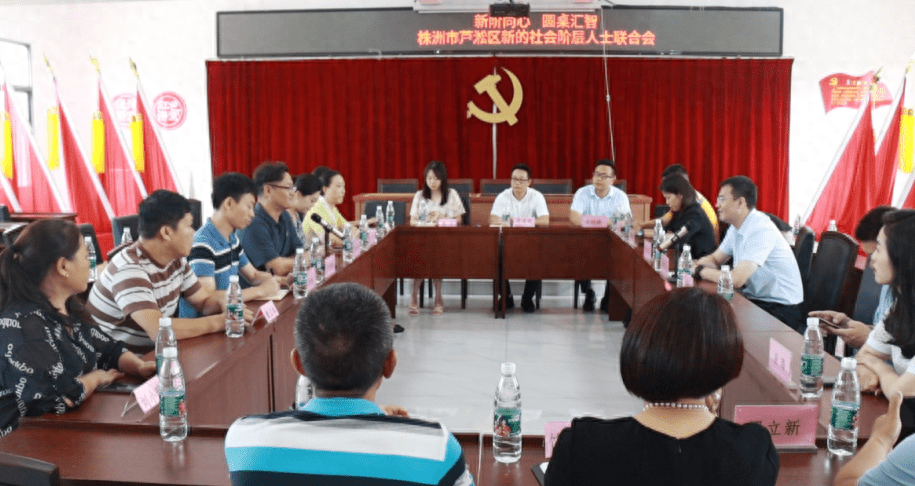 以“新”赋“能”助力乡村振兴！这场座谈会有看点很“走心”_竹林村_发展_区新阶