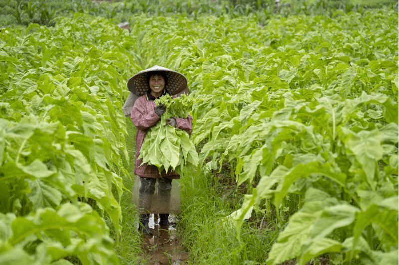 就在明天,南雄"丰收节"约定你!今年的亮点抢先看→_活动_评选_美食