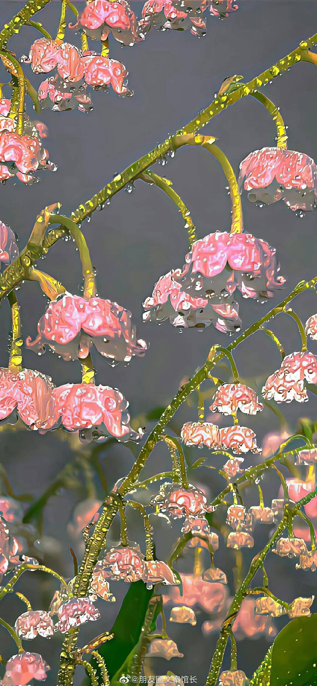 壁纸| ins高级质感壁纸_图文_原网