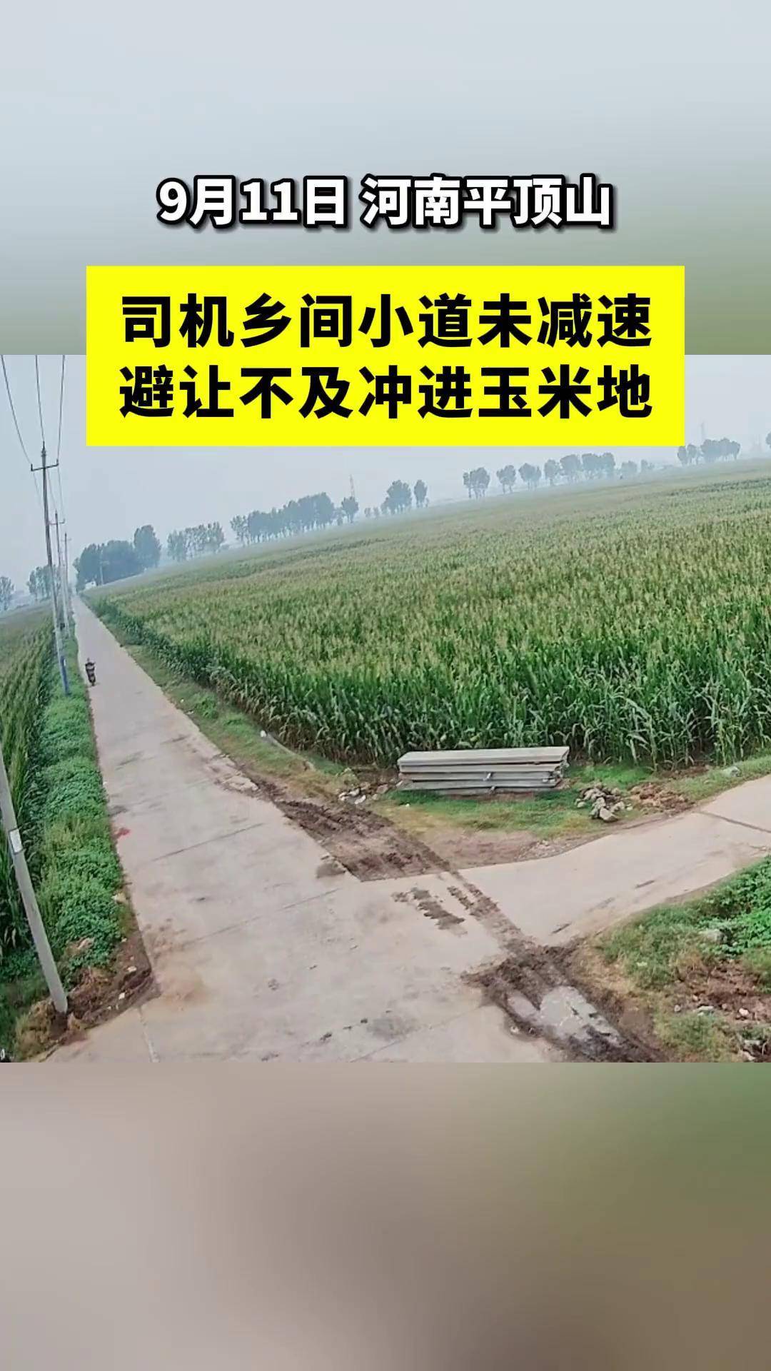 司机乡间小道未减速避让不及冲进玉米地.江苏新闻开车注意安全