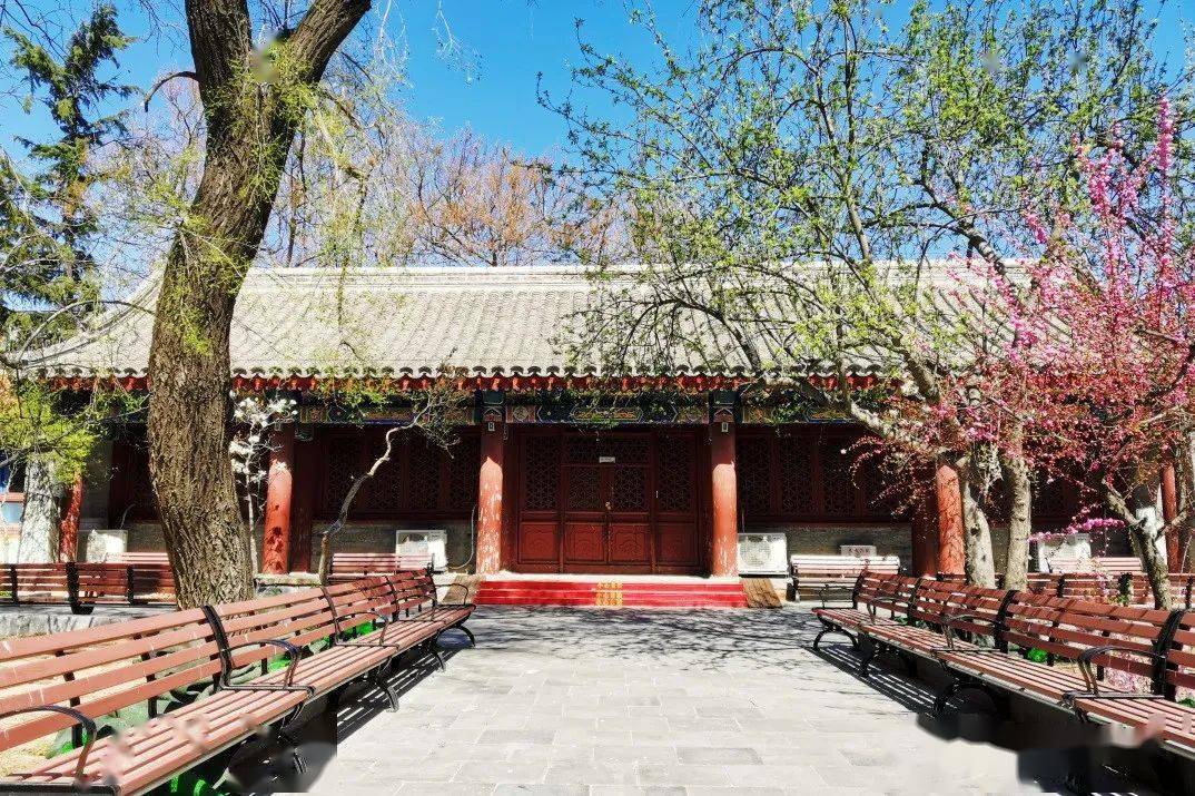 庄小学,始建于1934年,地处明代建筑"摩诃庵"(国家级文物保护单位)中