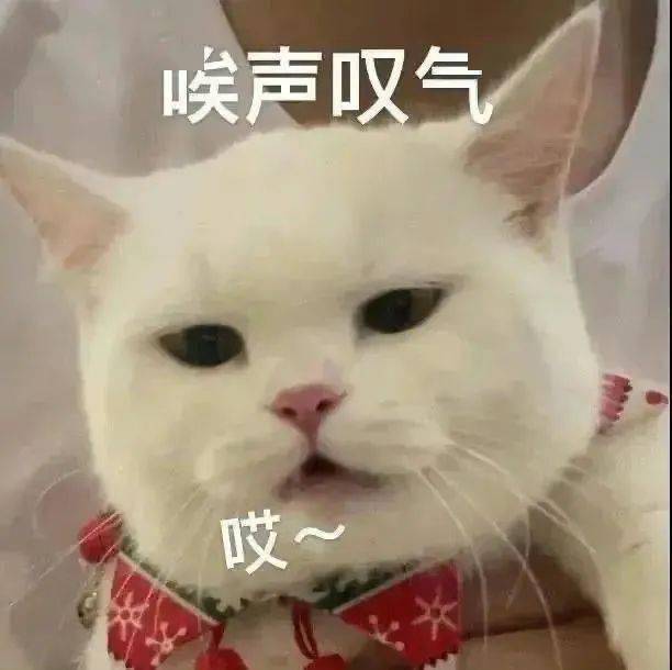 最新表情包:跟我约会_公众_时候_熊猫头