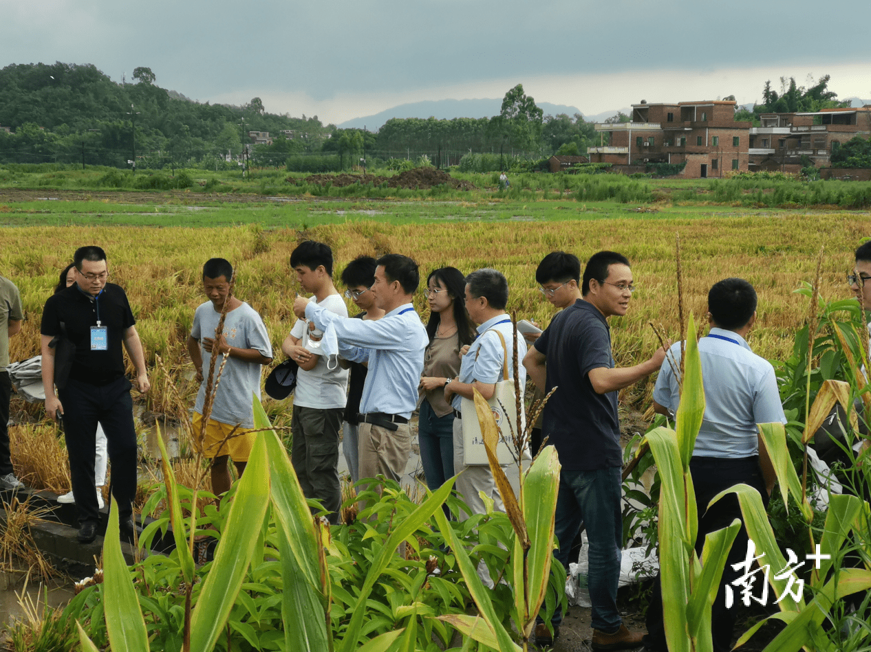 清新山塘:以核心聚人才,以人才促发展_山塘镇_工作_驿站