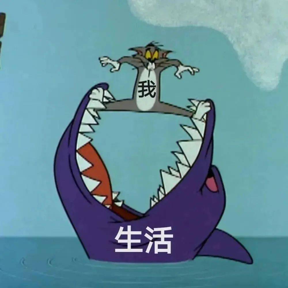 值得一换的搞笑表情包 676767_微信_方法_情况