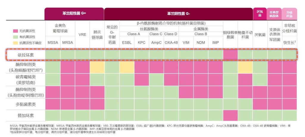 舒普深抗菌素谱图片